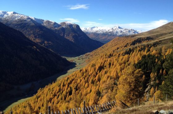 Natur pur