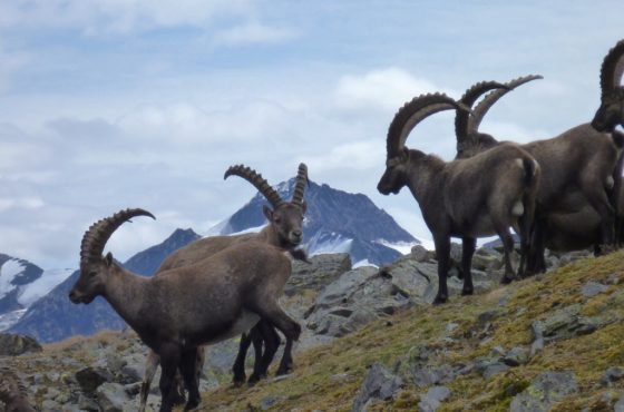 Sehenswertes