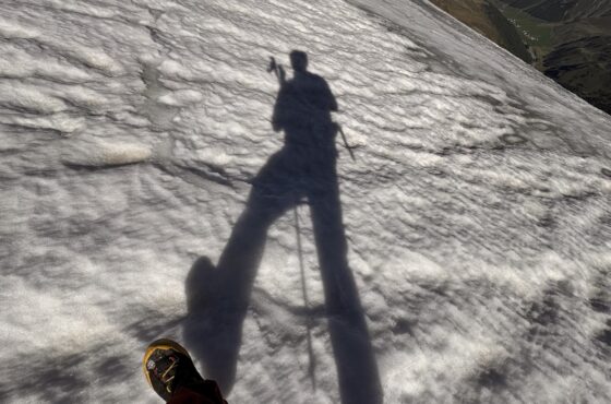 Let is Snow…