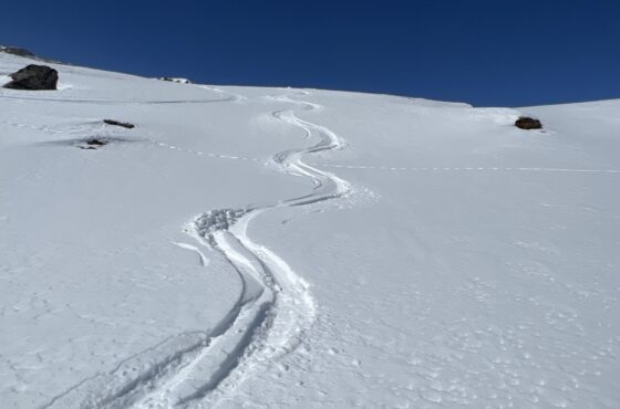 Powdern ….