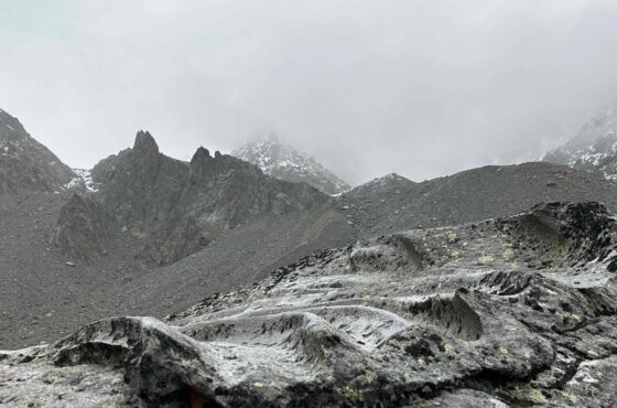 The Last Place on the Mountain